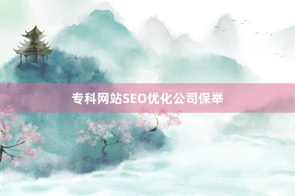 专科网站SEO优化公司保举