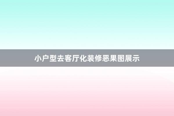 小户型去客厅化装修恶果图展示